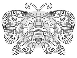 Funny symmetry butterfly vector coloring page